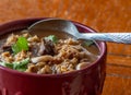 Beef and barley soup with spoon Royalty Free Stock Photo