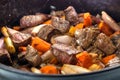 Beef bourguignon closeup Royalty Free Stock Photo