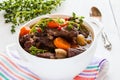 Beef Bourguignon in a white soup bowl. Stew with carrots, onions, mushrooms, bacon, garlic and bouquet garni. Royalty Free Stock Photo