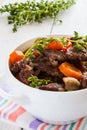 Beef Bourguignon in a white soup bowl. Stew with carrots, onions, mushrooms, bacon, garlic and bouquet garni. Royalty Free Stock Photo