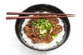 Beef bowl , japanese food