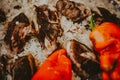 Boiled Beef on Top of Rice Royalty Free Stock Photo