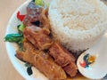 Beef Brisket and Tendon with Rice Royalty Free Stock Photo