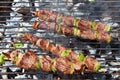 Beef brochette on barbecue Royalty Free Stock Photo