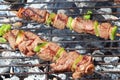 Beef brochette on barbecue Royalty Free Stock Photo