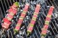 Beef brochette on barbecue Royalty Free Stock Photo