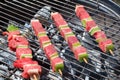 Beef brochette on barbecue Royalty Free Stock Photo