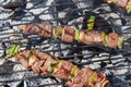 Beef brochettes on barbecue Royalty Free Stock Photo