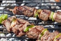 Beef brochettes on barbecue Royalty Free Stock Photo