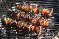 Beef brochettes on barbecue Royalty Free Stock Photo
