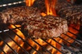 Beef burger for hamburger on barbecue flame grill Royalty Free Stock Photo