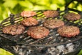 Beef burgers Royalty Free Stock Photo