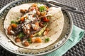 Beef Burrito Royalty Free Stock Photo