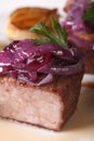 Beef with caramelized red onion on a plate macro. Vertical Royalty Free Stock Photo