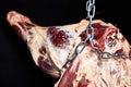 Beef carcass hanging on a black background