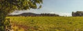 Beef cattle - herd of cows in the pasture in hilly landscape Royalty Free Stock Photo