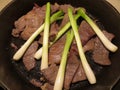 Beef Cecina and Spring Onions Royalty Free Stock Photo