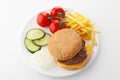 Beef Cheese Hamburger with French Fries