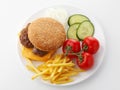 Beef Cheese Hamburger with French Fries