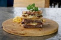 Beef and Cheese Panini Grilled Sandwich