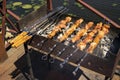 Beef or chicken meat on barbeque outdoor Royalty Free Stock Photo
