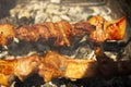 Beef or chicken meat on barbeque outdoor Royalty Free Stock Photo