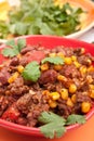 Beef chili in a red bowl Royalty Free Stock Photo