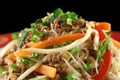 Beef Chow Mein 3 Royalty Free Stock Photo