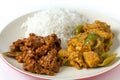 Beef curry with potato and rice Royalty Free Stock Photo