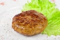 Beef cutlet Royalty Free Stock Photo