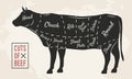 Meat cuts. Beef cuts. Vintage Poster for Restaurant or butcher shop. Retro diagram. Vector illustration.