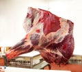 Beef forequarter hanging in a butcher shop Royalty Free Stock Photo