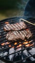Beef grilling over charcoal barbecue, sizzling and savory