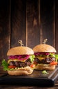 Hamburger. Sandwich with beef burger, tomatoes, cheese, pickled cucumber and lettuce. Cheeseburger Royalty Free Stock Photo