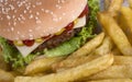 Beef hamburguerwith french fries Royalty Free Stock Photo