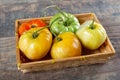 Beef heart tomatoes in the basket on wooden background Royalty Free Stock Photo