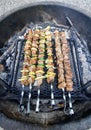 Beef kababs on the grill closeup Royalty Free Stock Photo