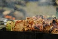 Beef kababs on the grill Royalty Free Stock Photo