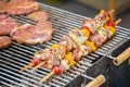 Beef kababs on the grill closeup Royalty Free Stock Photo