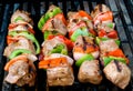 Beef kabobs and corn Royalty Free Stock Photo