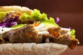 Beef Kebab in a bun Royalty Free Stock Photo