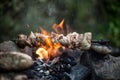Beef kebab cooking on skewer with flame sparks barbecue on bonfire in forest at travel