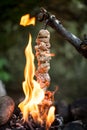 Beef kebab cooking on skewer with flame sparks barbecue on bonfire in forest at travel