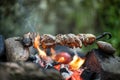 Beef kebab cooking on skewer with flame sparks barbecue on bonfire in forest at travel