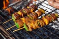 Barbecue beef kebabs on grill Royalty Free Stock Photo