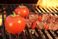 Beef Kebabs On The Hot BBQ Grill Royalty Free Stock Photo