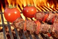 Beef Kebabs On The Hot BBQ Grill Royalty Free Stock Photo