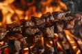 Beef kebabs roasting over fire flames on the grill with copy space Royalty Free Stock Photo