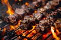 Beef kebabs roasting over fire flames on the grill. Copy space Royalty Free Stock Photo