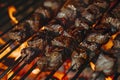 Beef kebabs roasting over flames. Copy space background Royalty Free Stock Photo